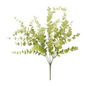 Eukaliputus Bukiet 75 cm ASC24174-2