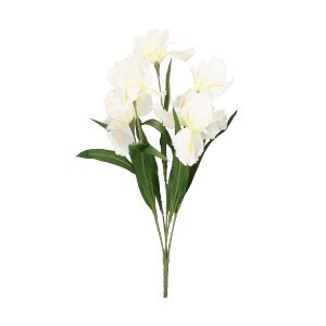 Irys Bukiet 65 cm ASC20425-1