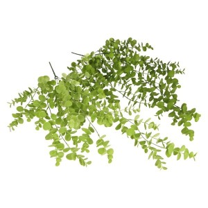 Eukaliptus Zwisający 77 cm mix 2 kolorów ASC25178