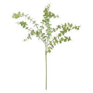 Eukaliptus Gałązka 50 cm mix 3 kolorów ASC25190