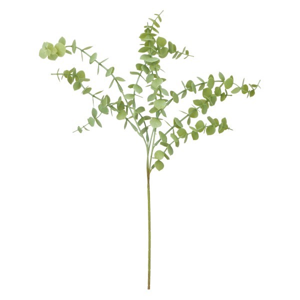 Eukaliptus Gałązka 50 cm mix 3 kolorów ASC25190