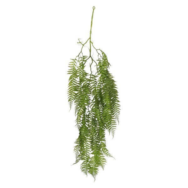 Paproć Zwisająca 110 cm ASC26222