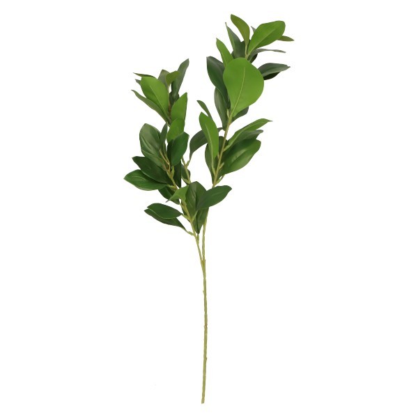 Laurowiśnia Gałązka 70 cm ASC27284