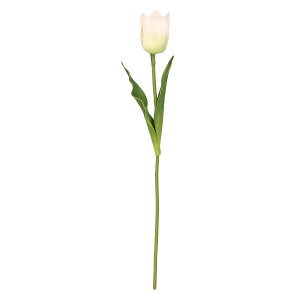 Tulipan Pojedynczy 45 cm mix 5 kolorów ASC27614