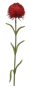 Czosnek Gałązka 59 cm mix 5 kolorów AST50793