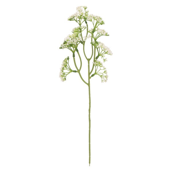 Roślina Pik 40 cm mix 6 kolorów AST50668