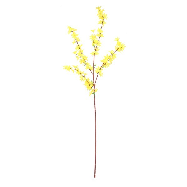 Forsycja Gałązka 110 cm ASC27819