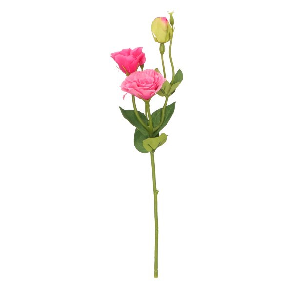 Eustoma Gałązka 43 cm mix 5 kolorów ASC27825