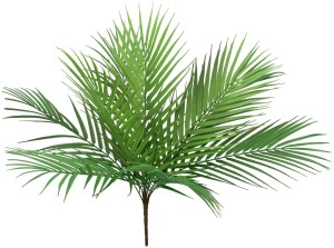 Palma 53 cm ASC26229-3