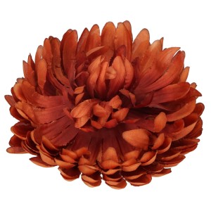 Chryzantema Wyrobowa ASC28300-14