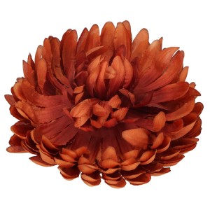 Chryzantema Wyrobowa ASC28300-14