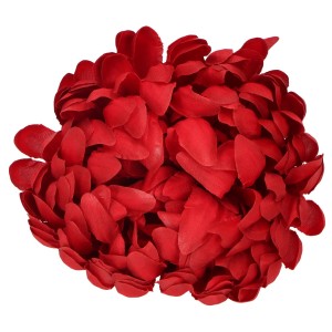 Chryzantema Wyrobowa śr. 12 cm ASC28300-13