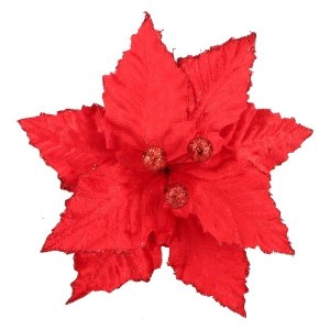 Gwiazda Betlejemska Sr 20 cm AST231128-4