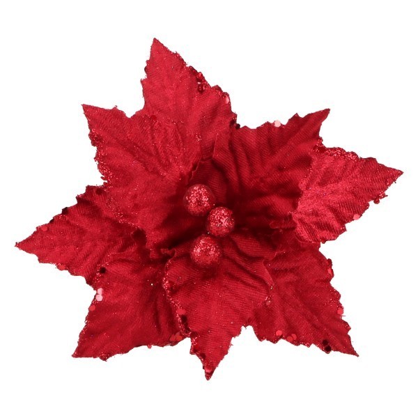 Gwiazda Betlejemska Sr 20 cm AST231128-4