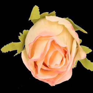 5737832f0ab5b3845bc2eb64061ed6cf.png