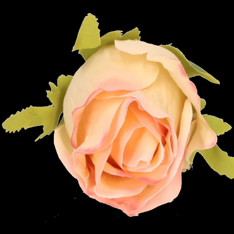 5737832f0ab5b3845bc2eb64061ed6cf.png
