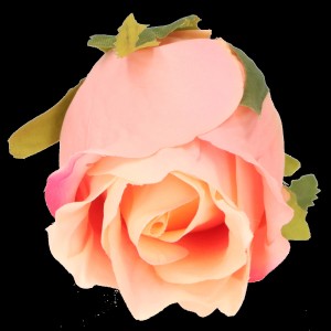 5737832f0ab5b3845bc2eb64061ed6cf.png