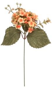 Hortensja pik 29 cm mix 6 kolorów AST50320-MIX