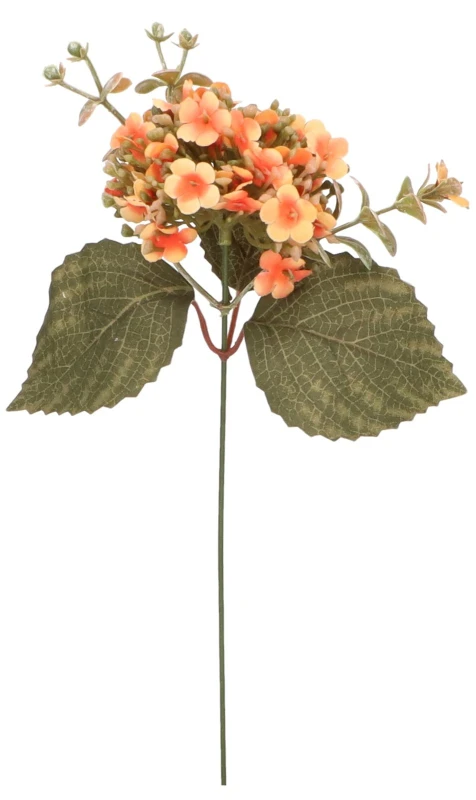 Hortensja pik 29 cm mix 6 kolorów AST50320-MIX