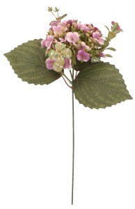 Hortensja pik 29 cm mix 6 kolorów AST50320-MIX