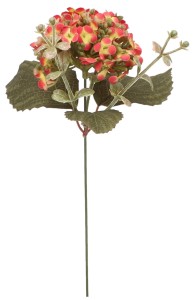 Hortensja pik 29 cm mix 6 kolorów AST50320-MIX