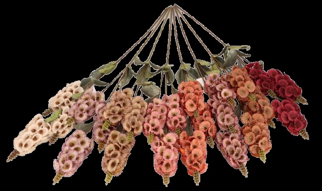 Naparstnica gałązka 75cm ASC27023-mix 8 kolorów