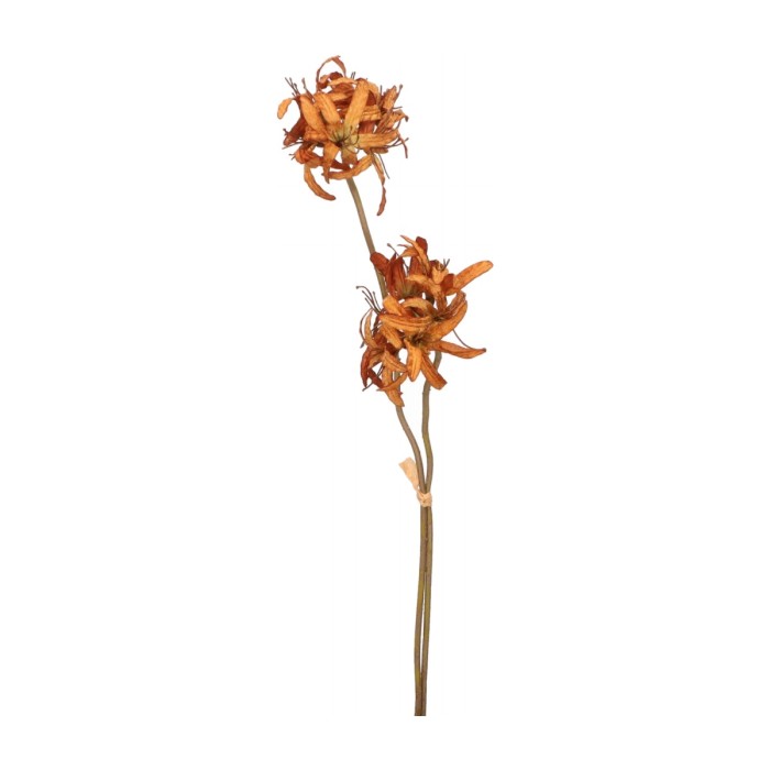 Gałązka jesienna 60cm ASC25016-mix 3 kolorów