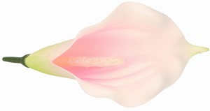Kwiat sztuczny wyrobowy KALIA 17x10cm ASC240206-10