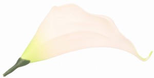 Kwiat sztuczny wyrobowy KALIA 17x10cm ASC240206-6