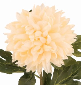 Kwiat sztuczny Chryzantema gałązka 75cm ASC21837-7 – zdjęcie 2