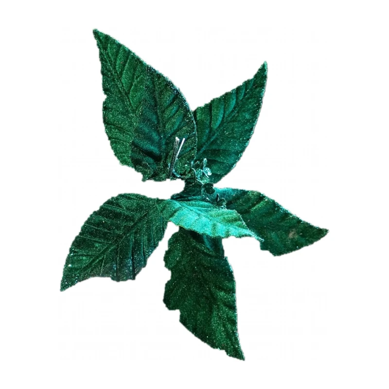 c390728a11e93a66450f42e9b090970b.png