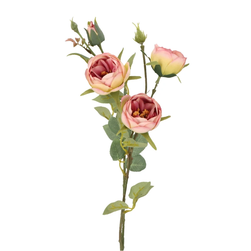 ASC23320-8 KWIAT 60CM_2.jpg