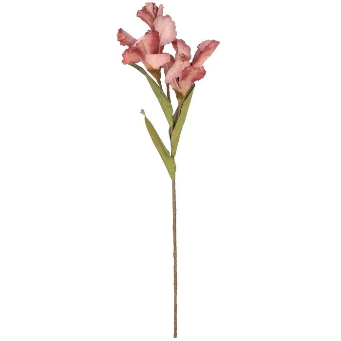 Kanna gałązka 83cm ASC27028-mix 6 kolorów