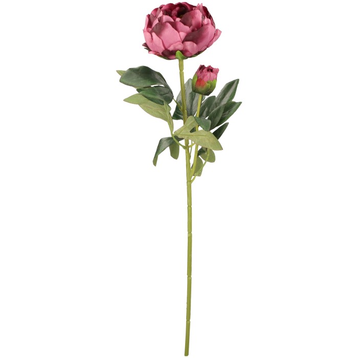 Piwonia Gałązka 65 cm ASC20574-26