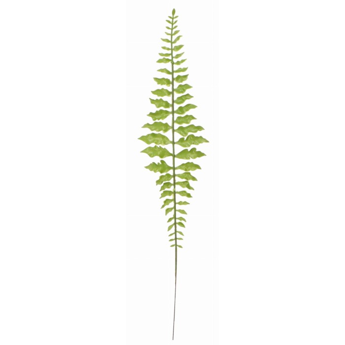 Liść paproci 50cm ASC240183