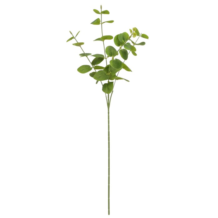 Gałązka zielona Eukaliptus 63cm ASC24531