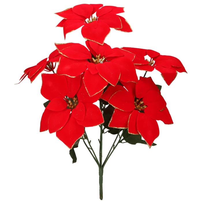 AST232100 GWIAZDA BETLEJEMSKA 50CM_1.jpg