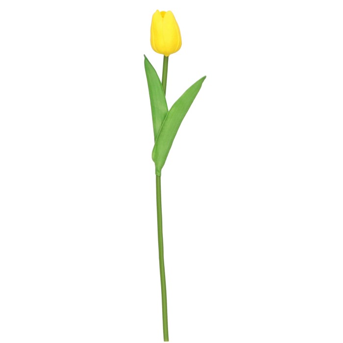 AST231163B-14 TULIPAN_1.jpg