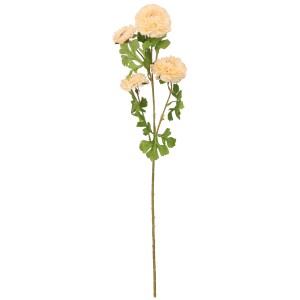 ASC240646 KWIAT 68CM_1.jpg