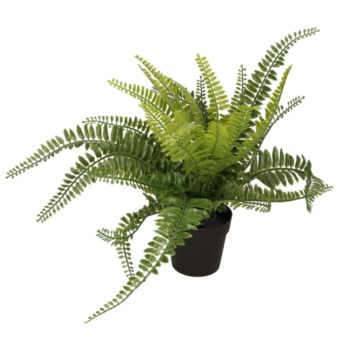 Paproć w doniczce 37cm AST40234