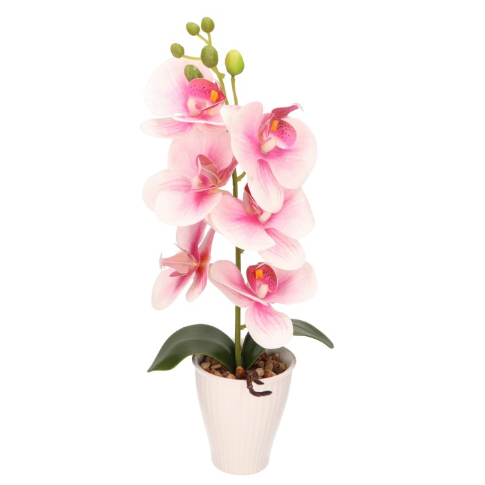 Storczyk w ceramicznej doniczce wys. 37cm AST40237
