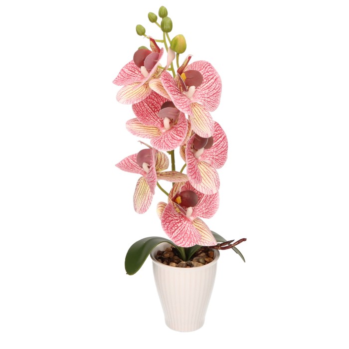 Storczyk w ceramicznej doniczce wys. 37cm AST40237 – zdjęcie 2