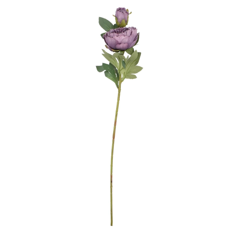 ASC25042 PIWONIA 65CM_1.jpg