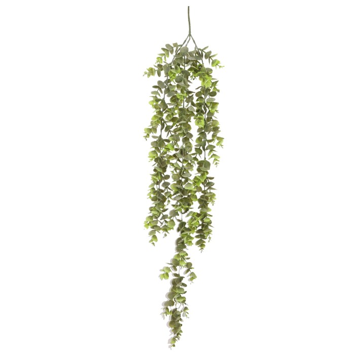 Roślina zwisająca Eukaliptus 80cm ASC25481
