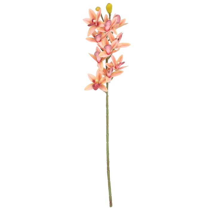 ASC240208 KWIAT 73CM_1.jpg