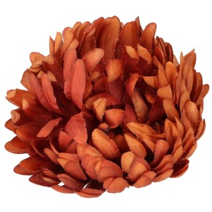 Chryzantema Wyrobowa ASC28300-8
