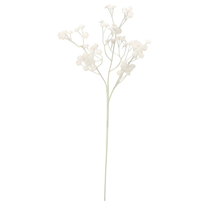 25097