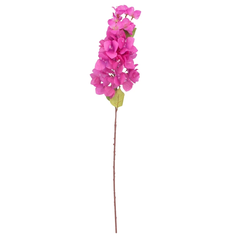 24405
