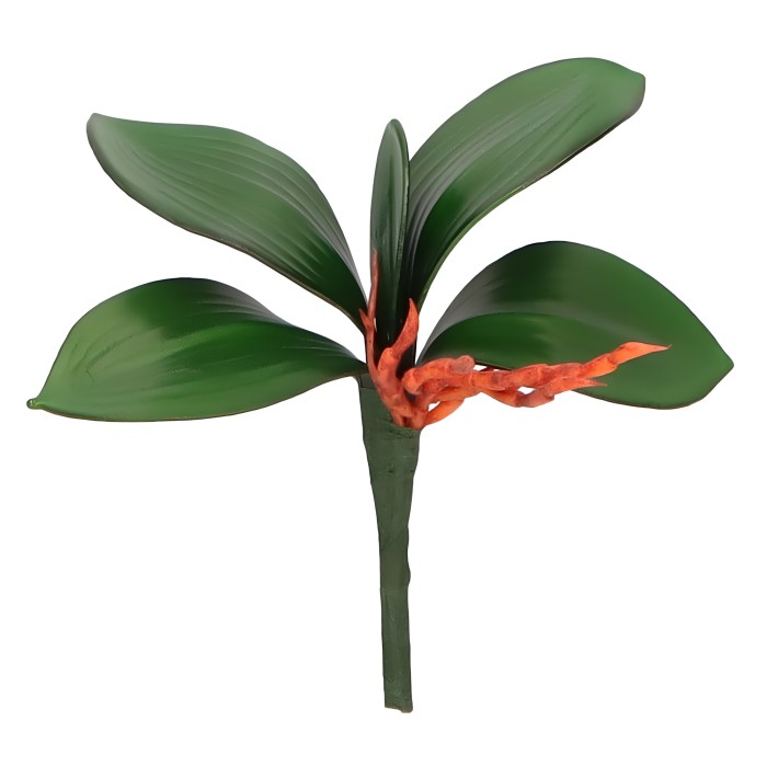 Liście storczyka 20 cm AST23233