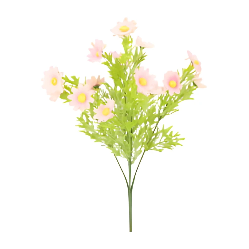 ASC240620 KWIAT 36CM_1.jpg